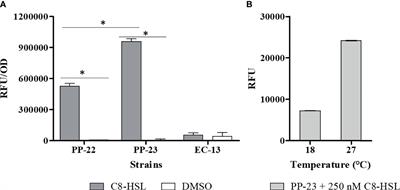 Piscirickettsia salmonis Produces a N-Acetyl-L-Homoserine Lactone as a Bacterial Quorum Sensing System-Related Molecule